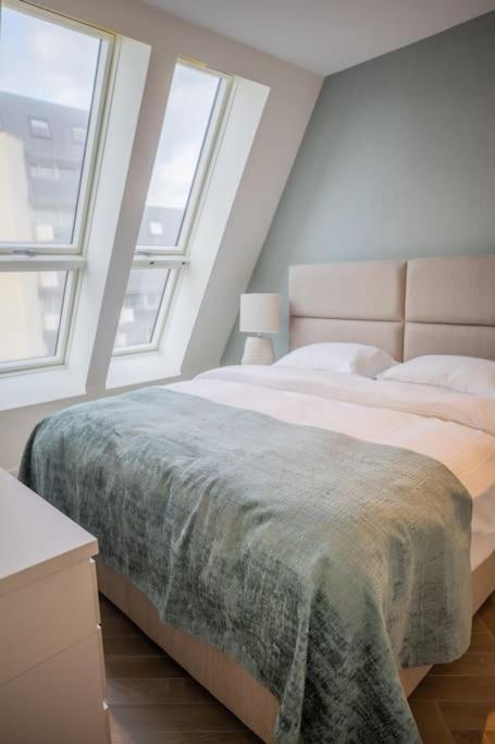 Penthouse Royal, Luxurious And Cozy With Sauna Apartment Cadzand